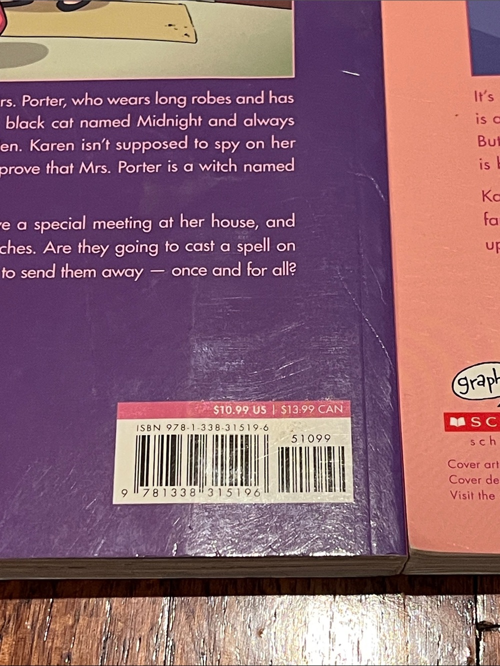 Baby-Sitters Little Sister Book Set - Colorful Children's Paperback Collection - Picture 4 of 6